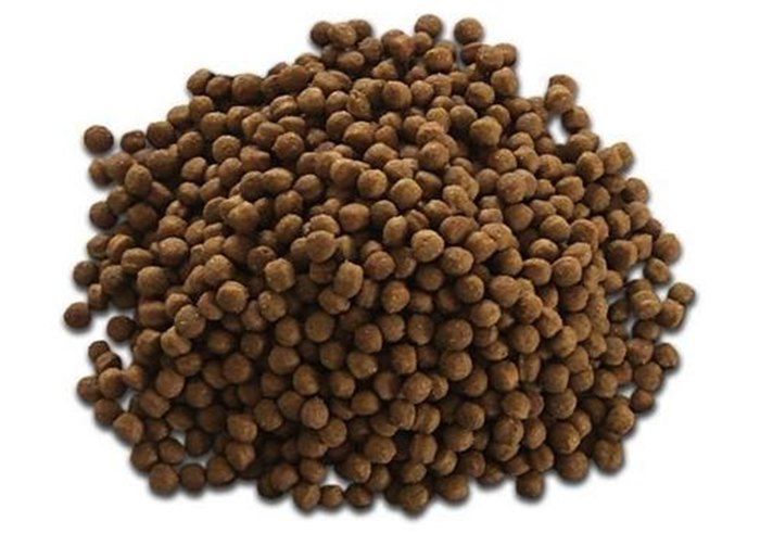 1025_1571969239103732.png 66.png